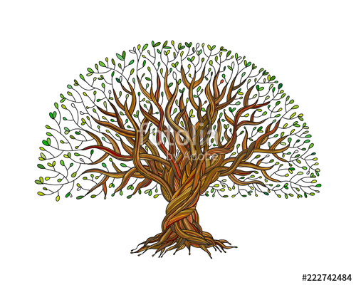 500x400 Big Tree With Roots For Your Design Stock Image And Royalty Free