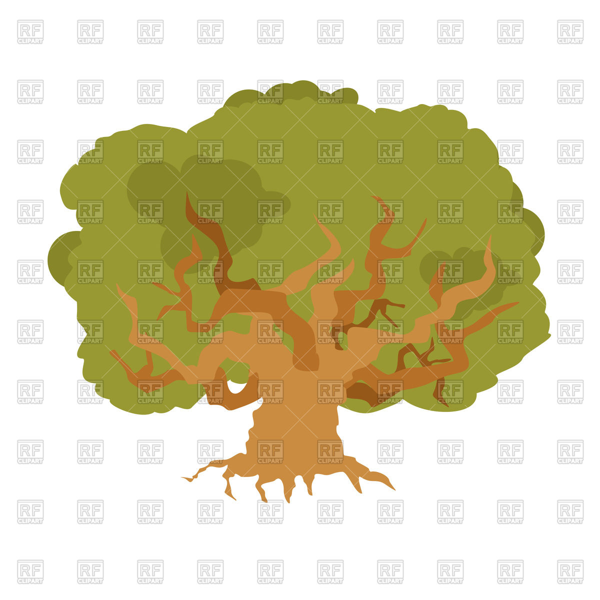1200x1200 Oak Large Old Tree Vector Image Of Plants And Animals