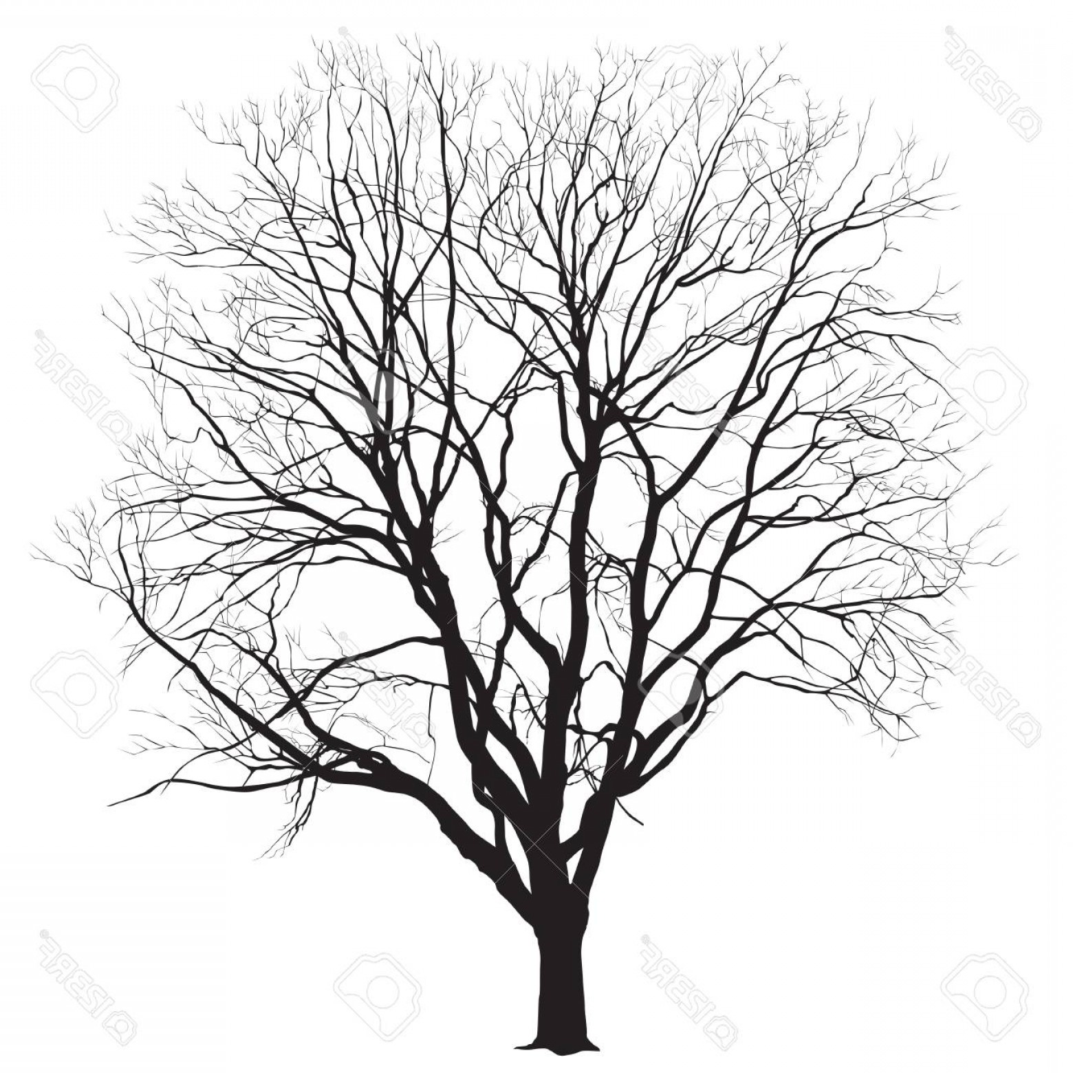 Big Tree Vector at Vectorified.com | Collection of Big Tree Vector free ...