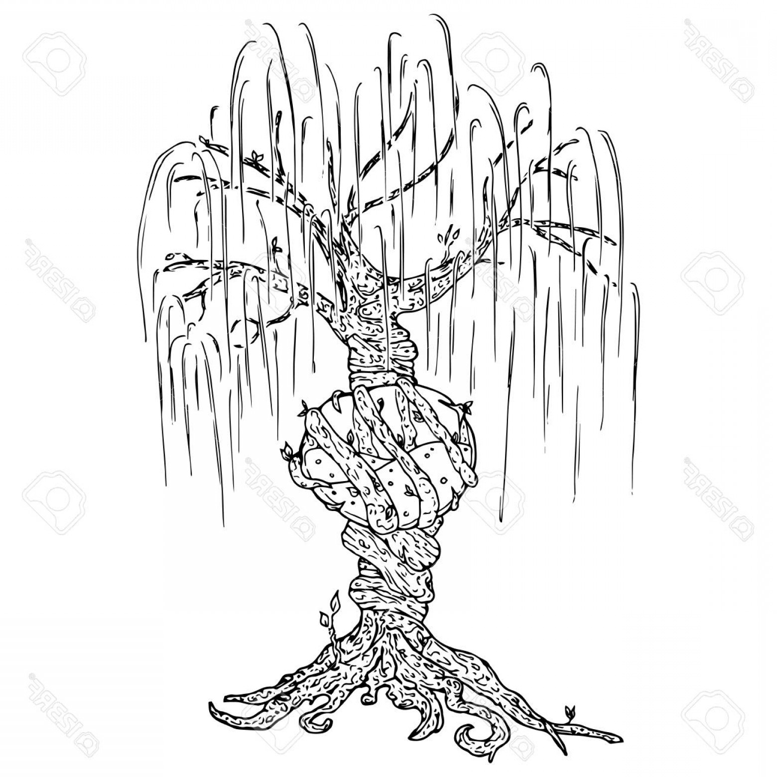 1560x1560 Photostock Vector Tree Icon Vector Illustration Big Tree Willow