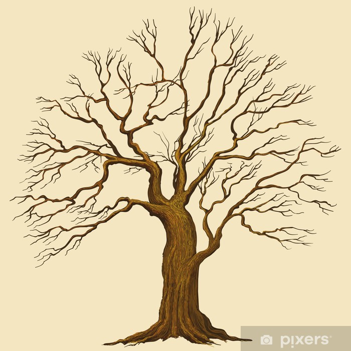 700x700 Big Tree Vector Illustration Wall Mural