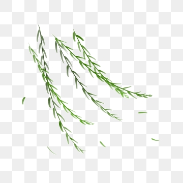 360x360 Bigote Png, Vector, And Clipart With Transparent Background