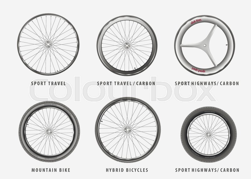 800x571 Set Of Vector Different Types Of Stock Vector Colourbox