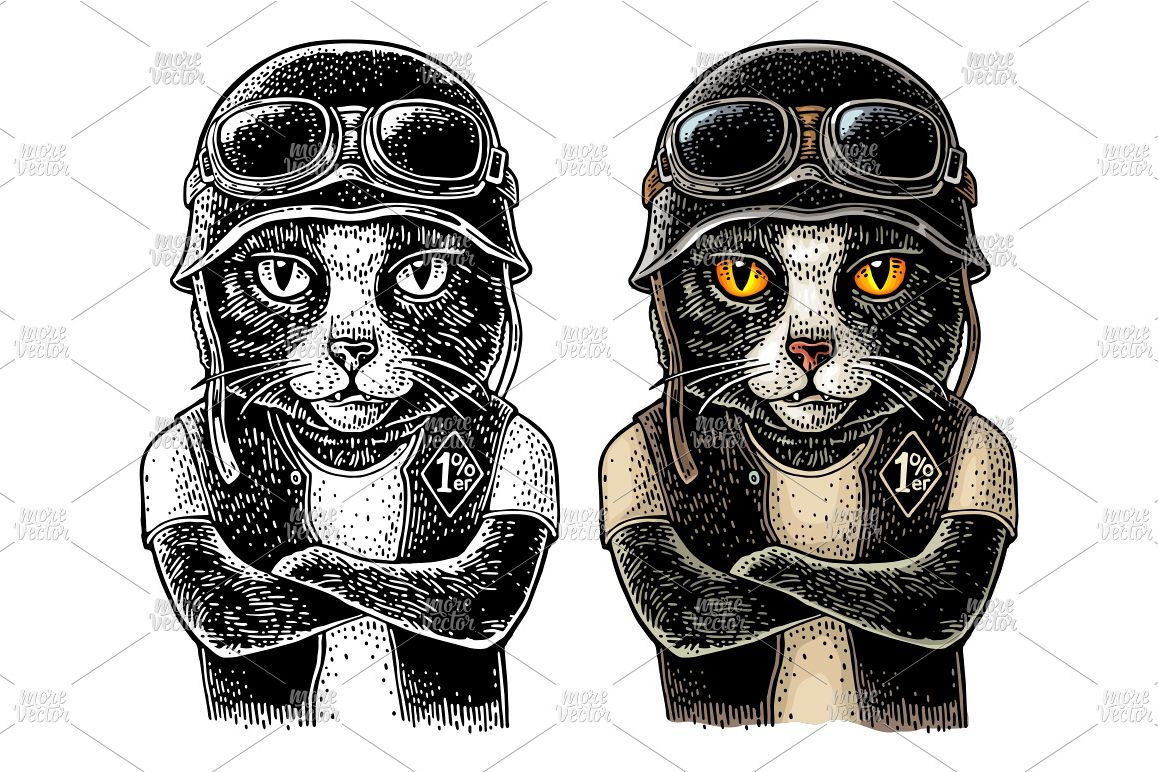 1158x772 Cat Biker Vector Color Vintage Engraving