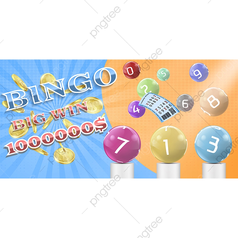 Vector Lottery Bingo Game Poster Banner Template, Lottery, Game 800x800 Vector Lottery Bingo Game Poster Banner Template, Lottery, Game