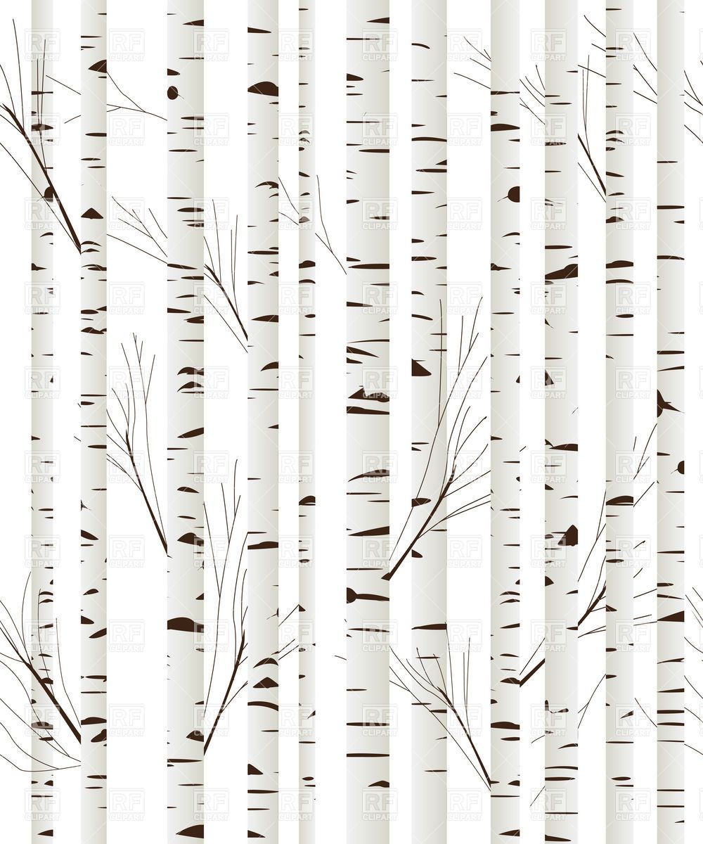 1000x1200 Birch Wood Trees Background Download Royalty Free Vector Clipart