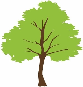 351x368 Birch Tree Free Vector Download
