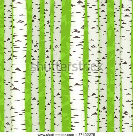450x470 Birch Trees Vector Free Vector Download