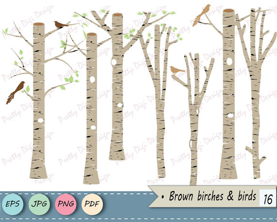 570x456 Collection Of 'birch Tree Silhouette' Download More Than