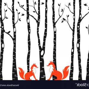 300x300 Photostock Vector Birch Tree Silhouette Background Cultracing