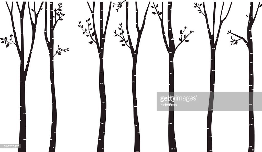 1024x593 Vector Art Birch Tree Silhouette Background Emery's Room