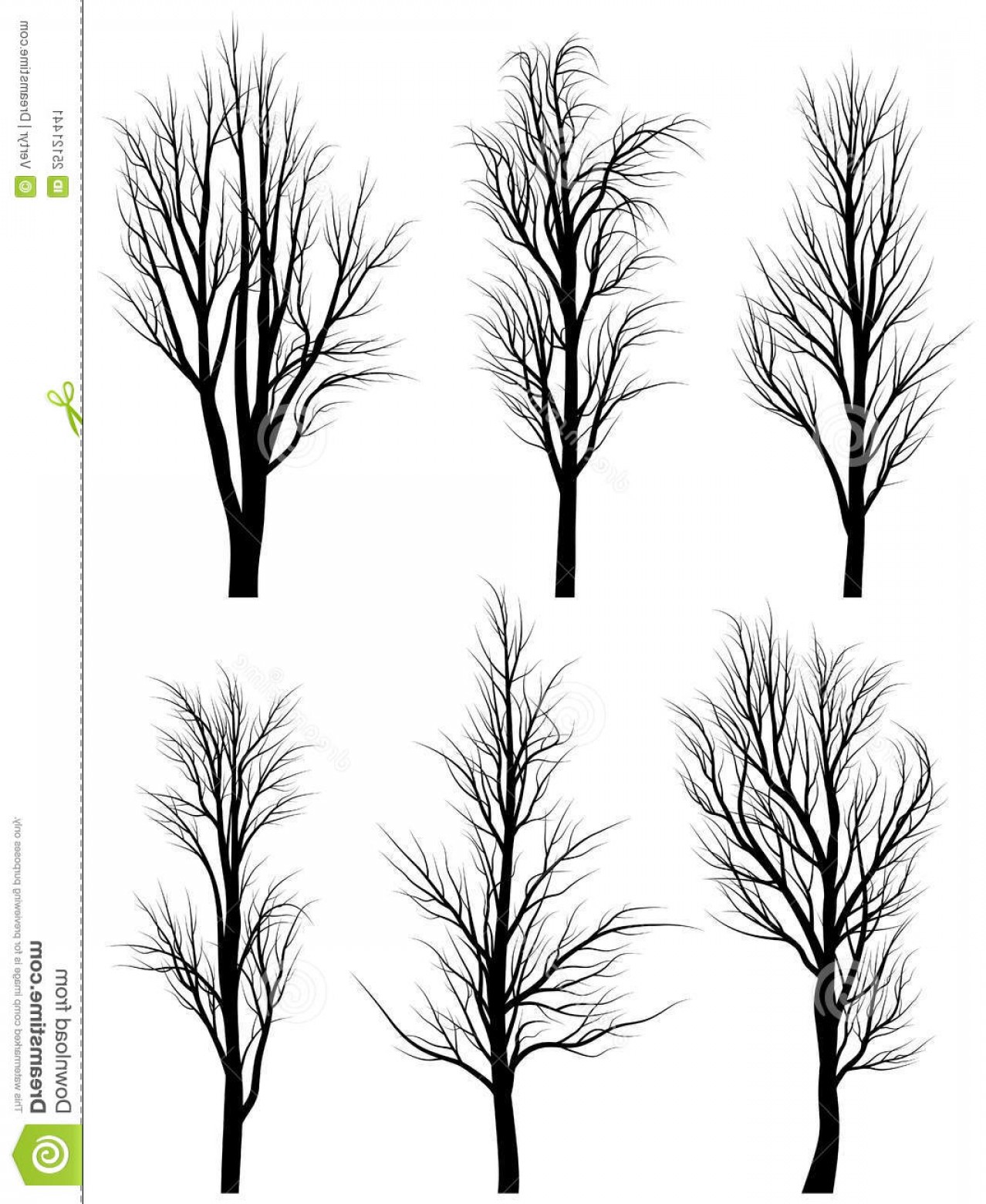 Download Birch Tree Silhouette Vector at Vectorified.com ...