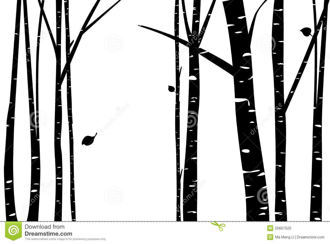 1300x962 Birch Tree Vector Birch Grove With Falling Leaf Silhouette