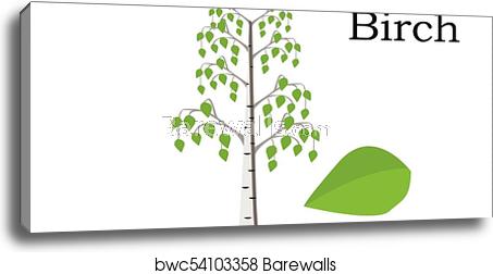 453x252 Birch Trees Vector Element Vector Green, Canvas Print Barewalls
