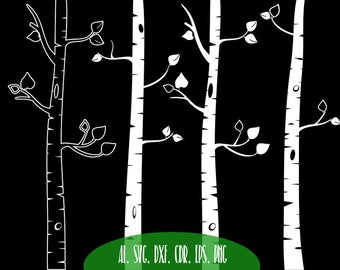 340x270 Birch Tree Etsy