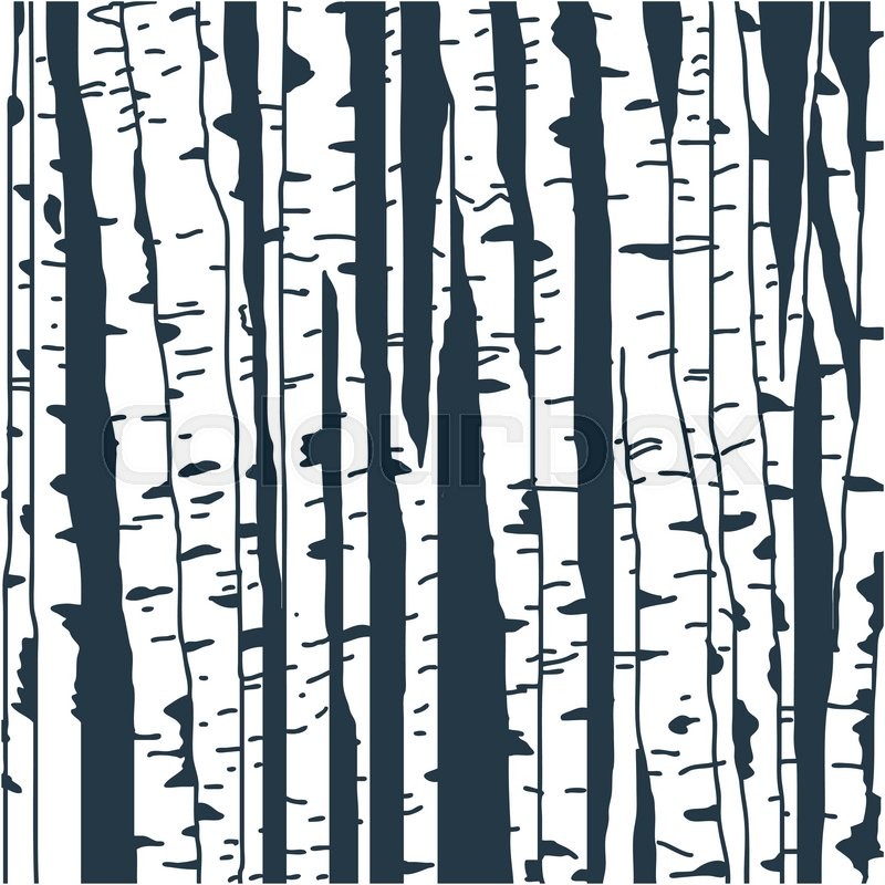 800x800 Birch Trees Background For You Design Stock Vector Colourbox