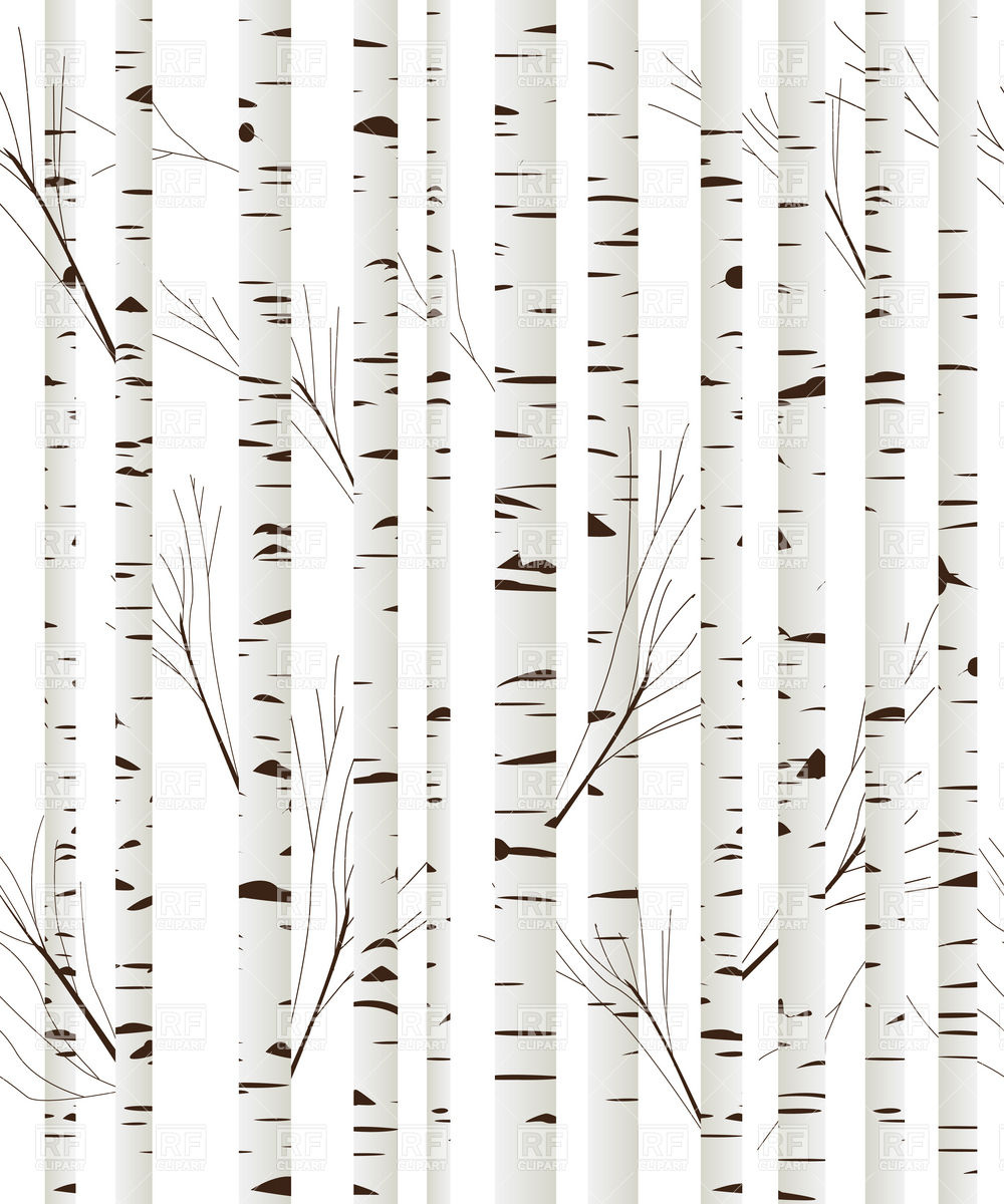1000x1200 Birch Wood Trees Background Vector Image Of Backgrounds, Textures