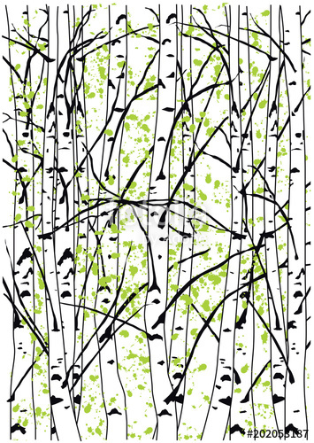 355x500 Beautiful Sping Birch Tree Forest Simple Vector Illustration
