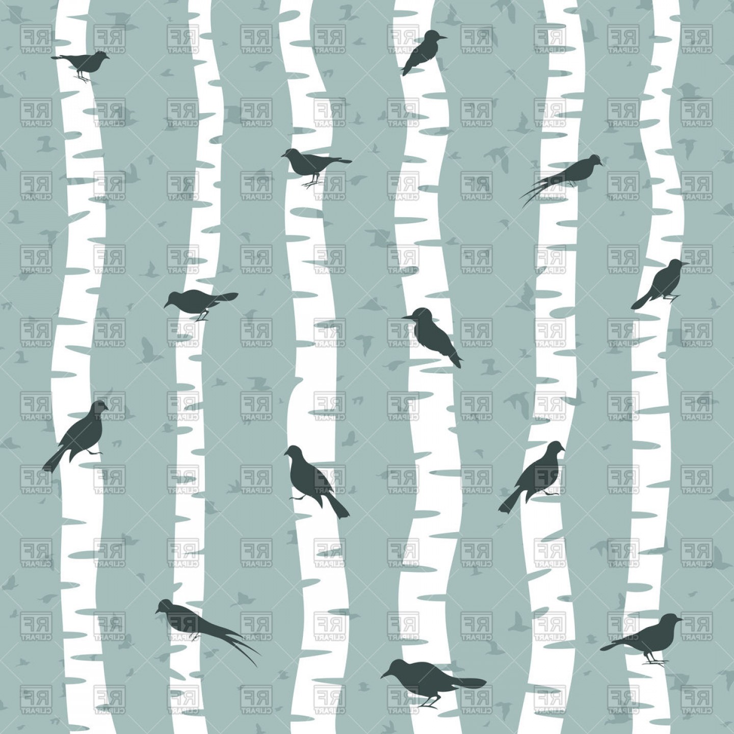 1440x1440 Bird Sits On Birch Tree Background Vector Clipart Cultracing