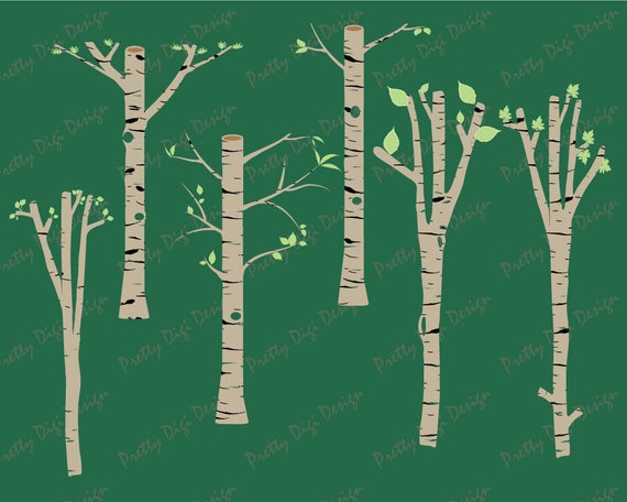 570x456 Brown Birch Clipart, Tree Clipart, Birch Vector, Birch Png, Birch