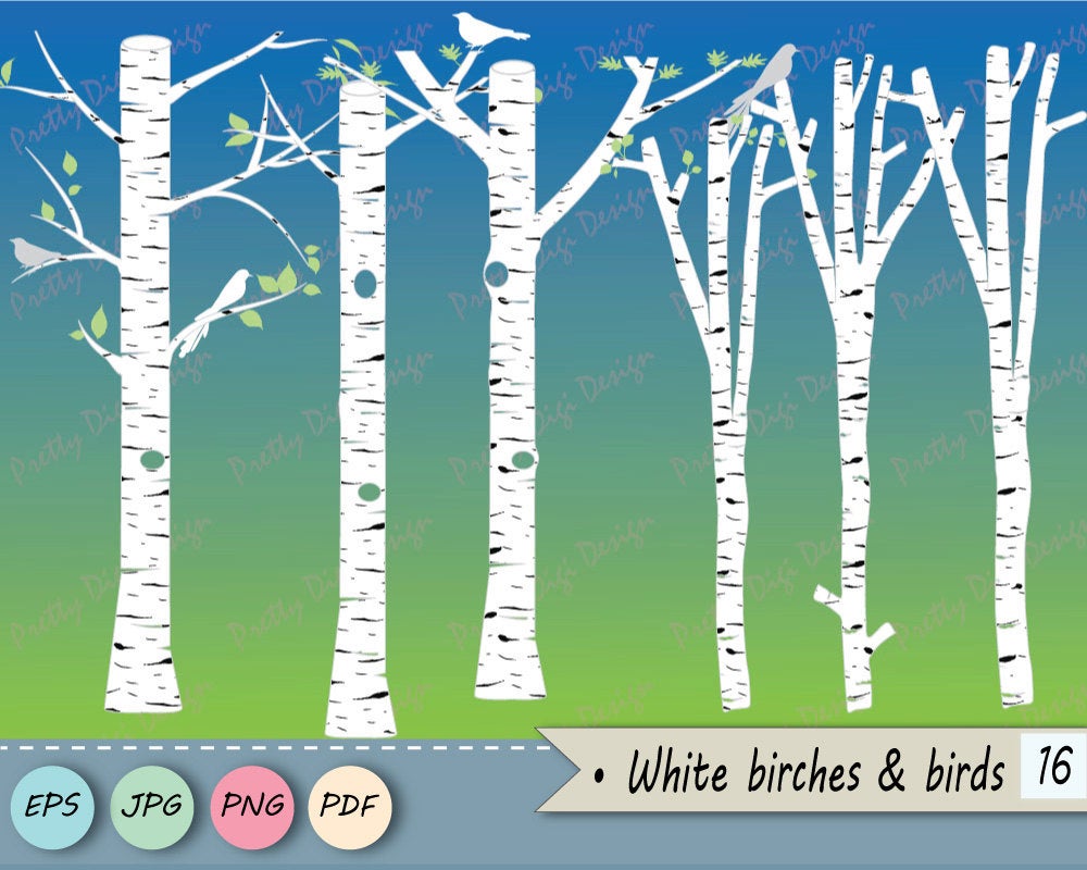 1000x800 White Birch Clipart Tree Clipart Birch Vector Birch Png Etsy