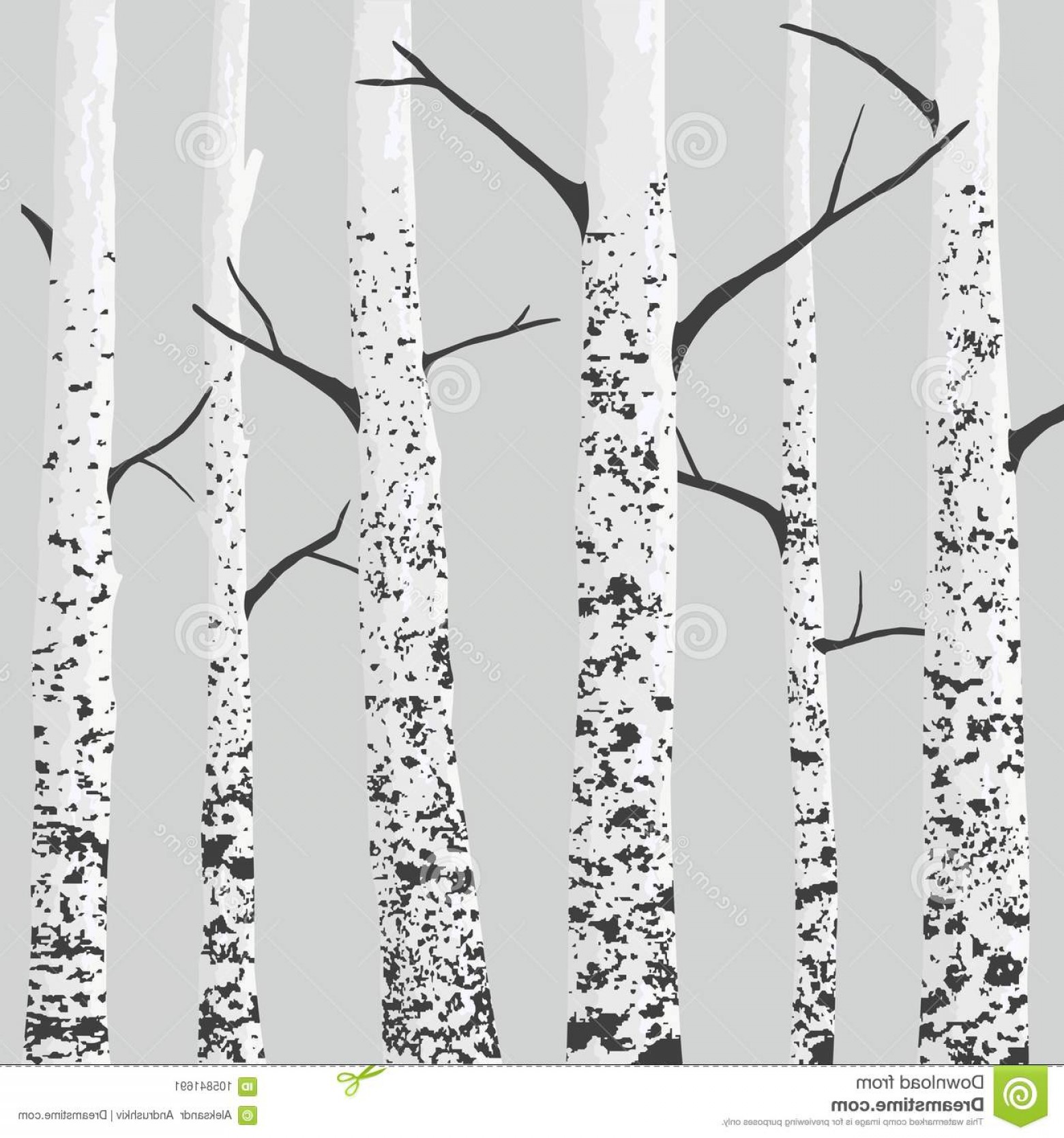 1560x1668 Birch Tree Vector Cultracing