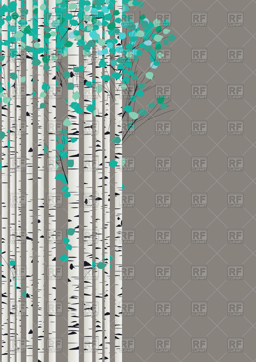849x1200 Birch Forest On Grey Background Vector Image Of Nature, Landscape
