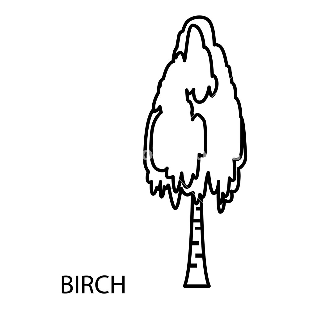 1000x1000 Birch Icon Outline Illustration Of Birch Vector Icon For Web