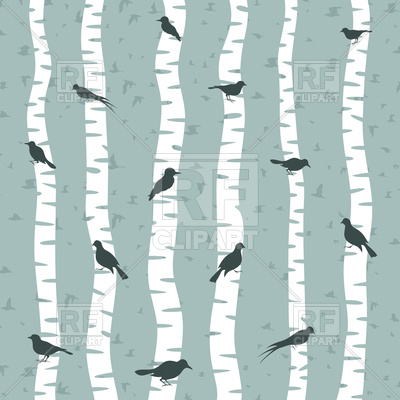 400x400 Bird Sits On Birch Tree