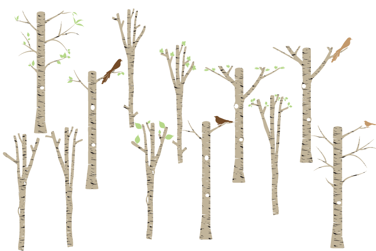 750x500 Brown Birch Clipart, Tree Clipart, Birch Vector, Birch Png