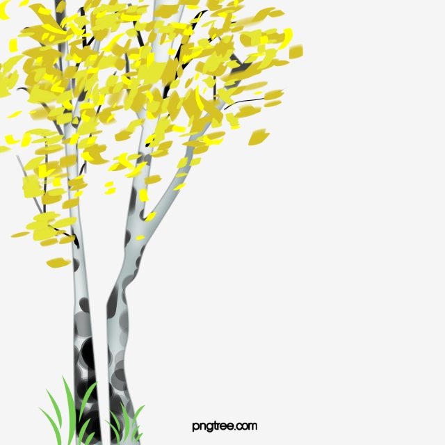 640x640 Lush White Birch, Lush, White Birch, Trees Png And Vector