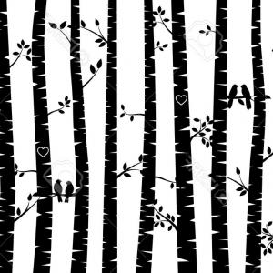 300x300 Photostock Vector Birch Tree Silhouette Background Cultracing