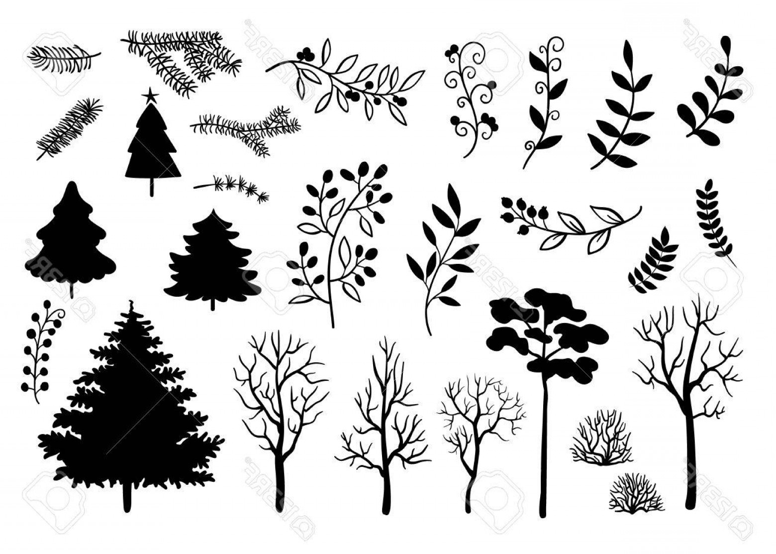 1560x1113 Photostock Vector Hand Drawn Black Silhouette Of Trees Branches