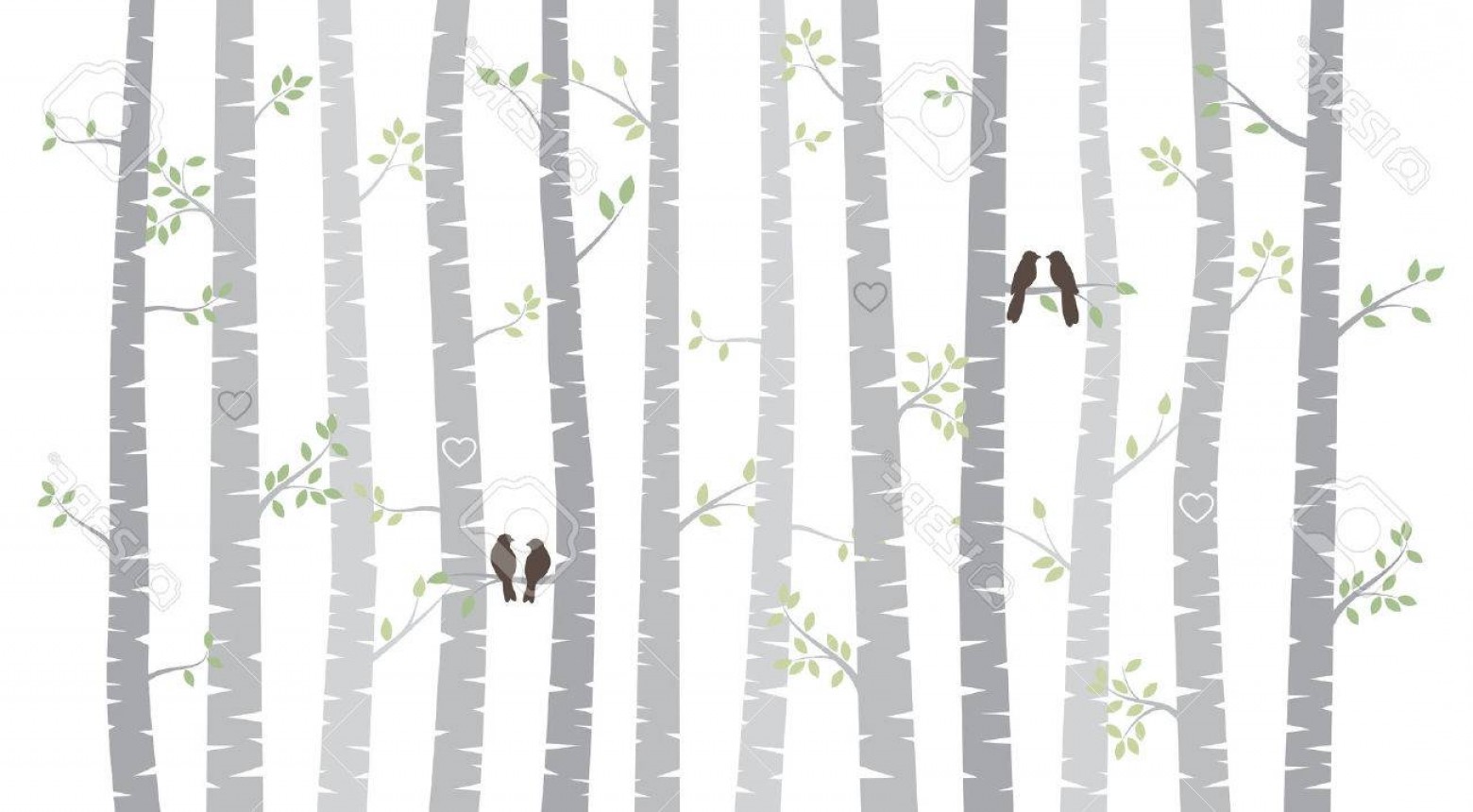 1560x860 Photostock Vector Vector Birch Or Aspen Trees With Autumn Leaves