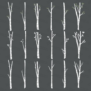 350x350 Premium Birch Tree Clipart Vector Set