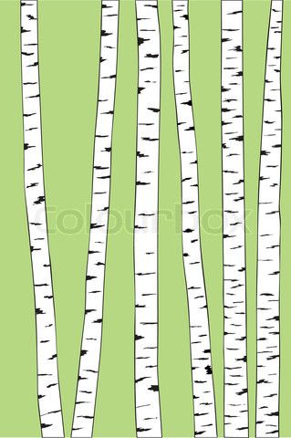 319x480 Vector Of 'birch Trunk Trees Background Vector Illustration'