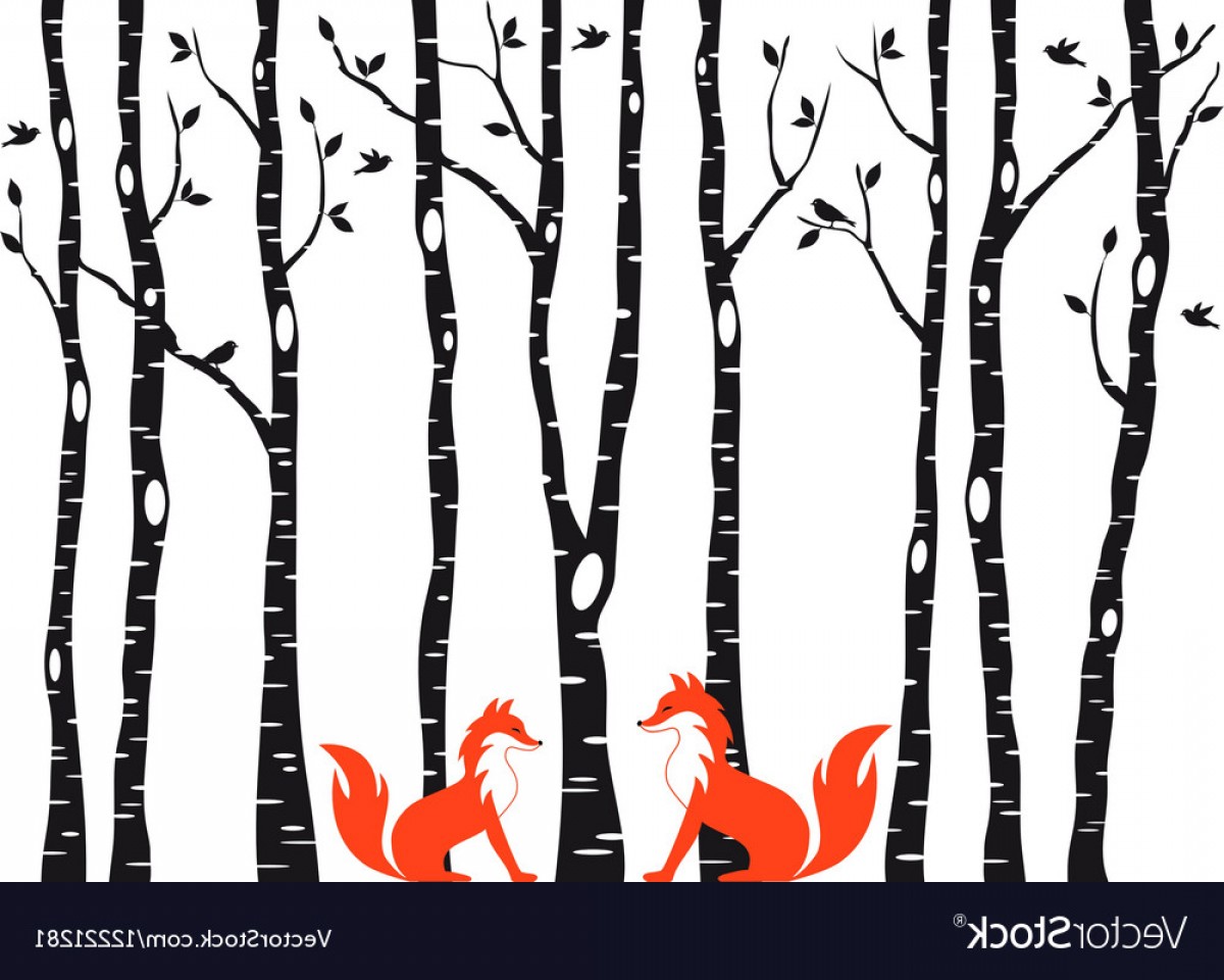 1200x960 Birch Tree Silhouette Vector Sarahgardan