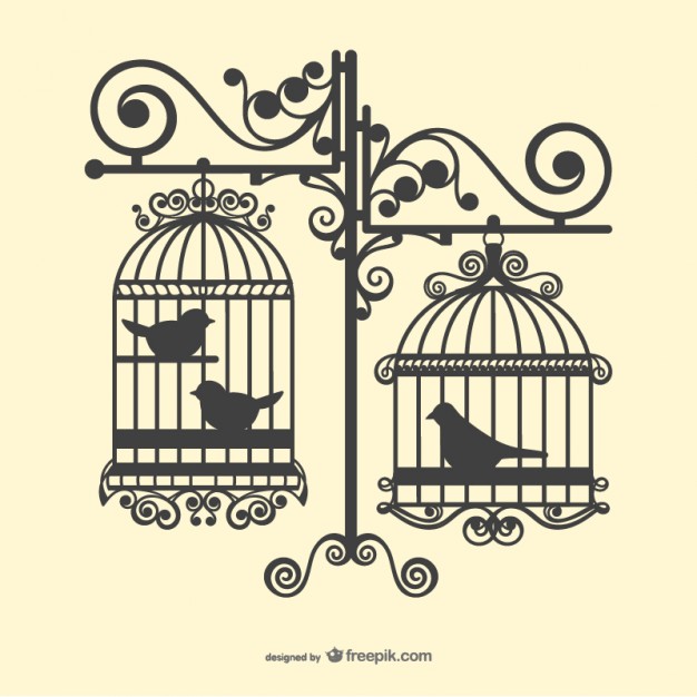 Birdcage Vectors, Photos And Free Download 626x626 Birdcage Vectors, Photos And Free Download