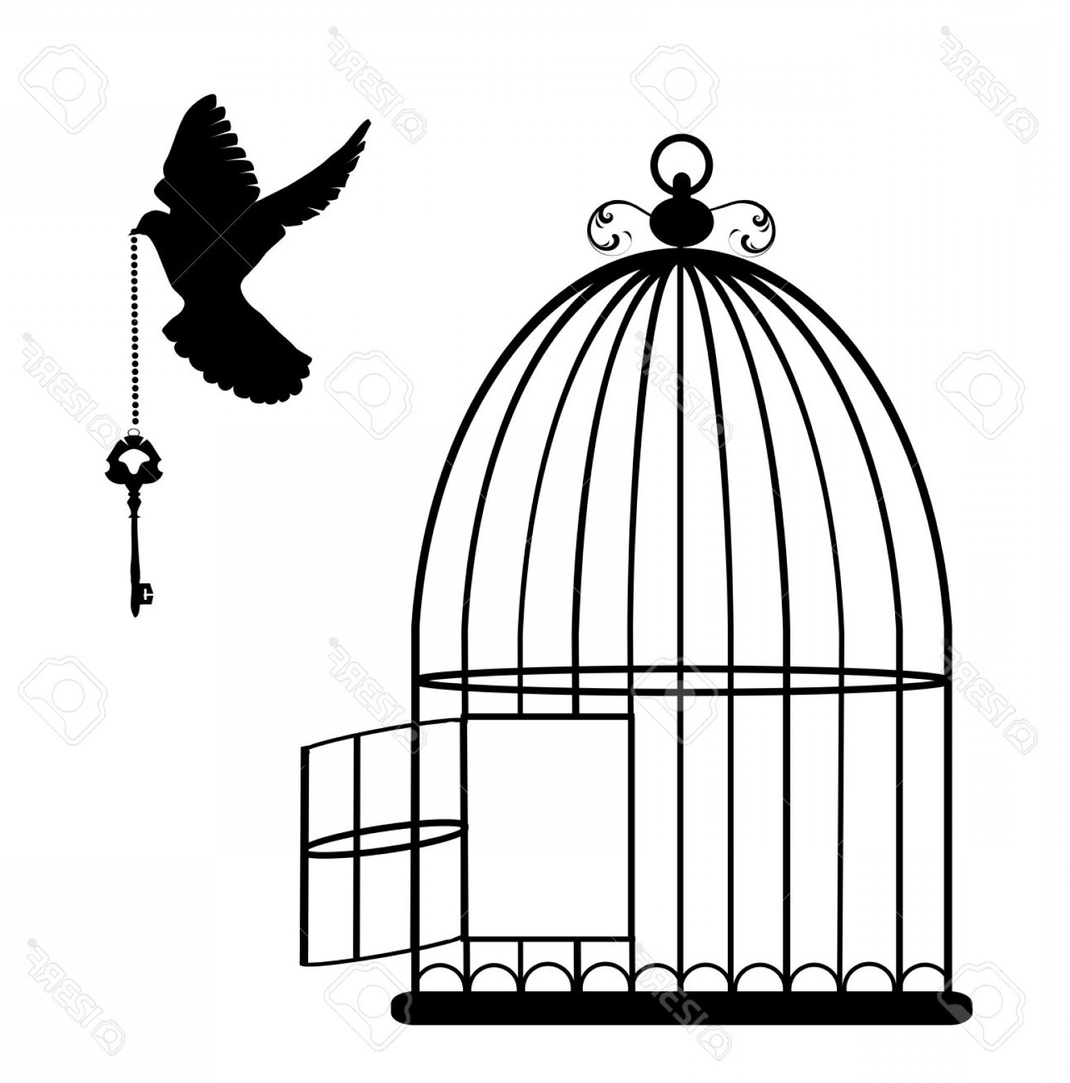 Photostock Vector Vector Illustration Of A Bird Cage Open 1542x1560 Photostock Vector Vector Illustration Of A Bird Cage Open