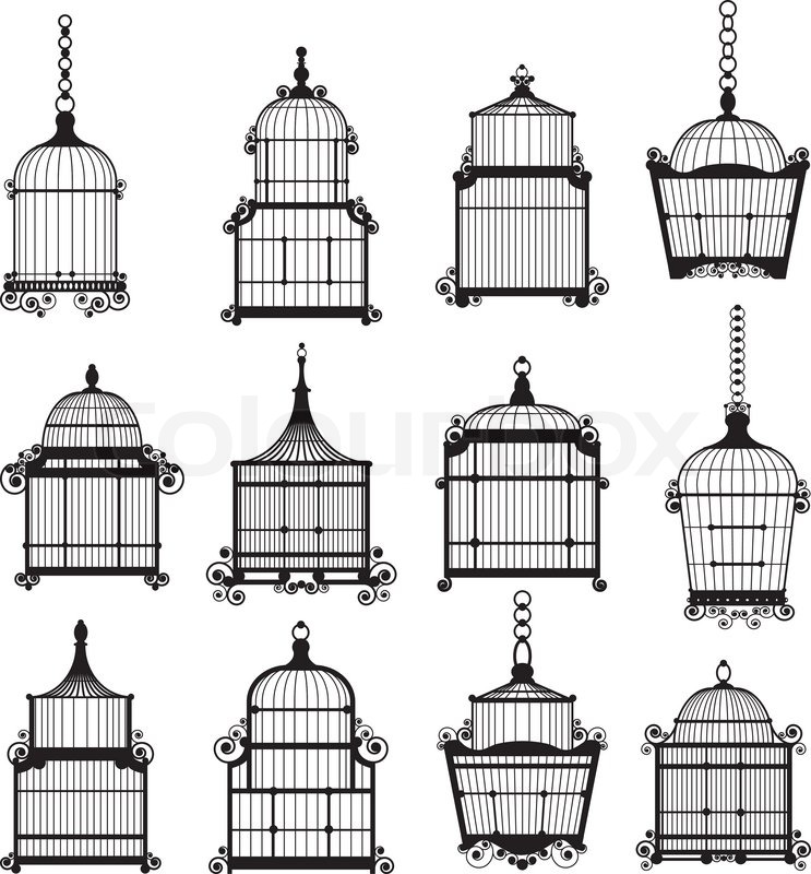 Set Of Ornamental Vintage Birdcage Stock Vector Colourbox 743x800 Set Of Ornamental Vintage Birdcage Stock Vector Colourbox