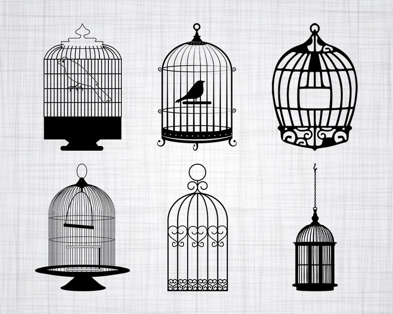 Bird Cage Bundle Bird Cage Bird Cage Clipart Cut Etsy 794x635 Bird Cage Bundle Bird Cage Bird Cage Clipart Cut Etsy