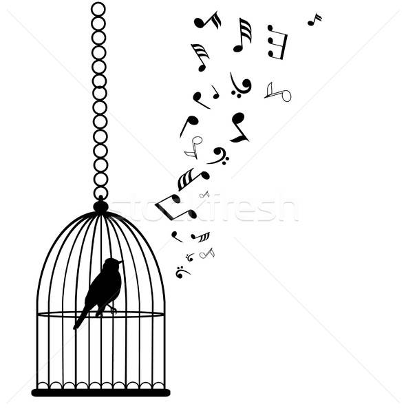 Bird Cage Vector Illustration Lilac 590x600 Bird Cage Vector Illustration Lilac