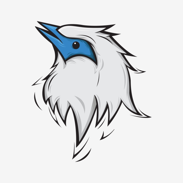 640x640 Bird Cartoon Vector, Illustration, Clip Art, Vector Png And Vector