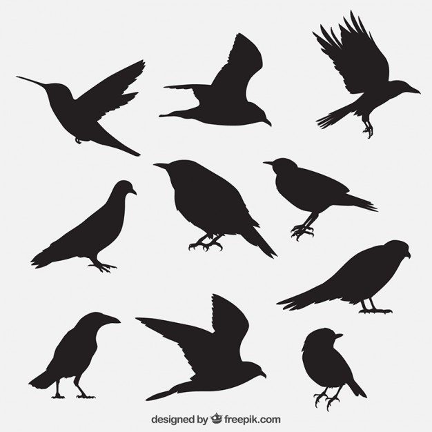 Bird Outlines Collection Vector Free Download 626x626 Bird Outlines Collection Vector Free Download