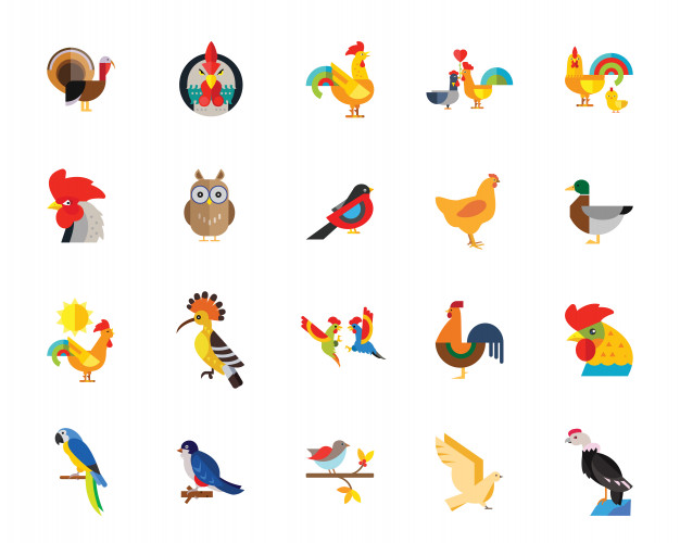 Birds Icon Set Vector Free Download 626x500 Birds Icon Set Vector Free Download