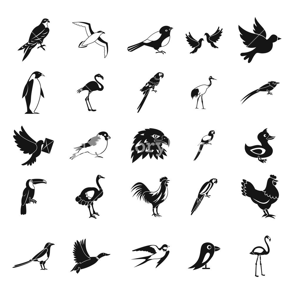 Birds Icon Set Simple Set Of Birds Vector Icons For Web Design 1000x1000 Birds Icon Set Simple Set Of Birds Vector Icons For Web Design