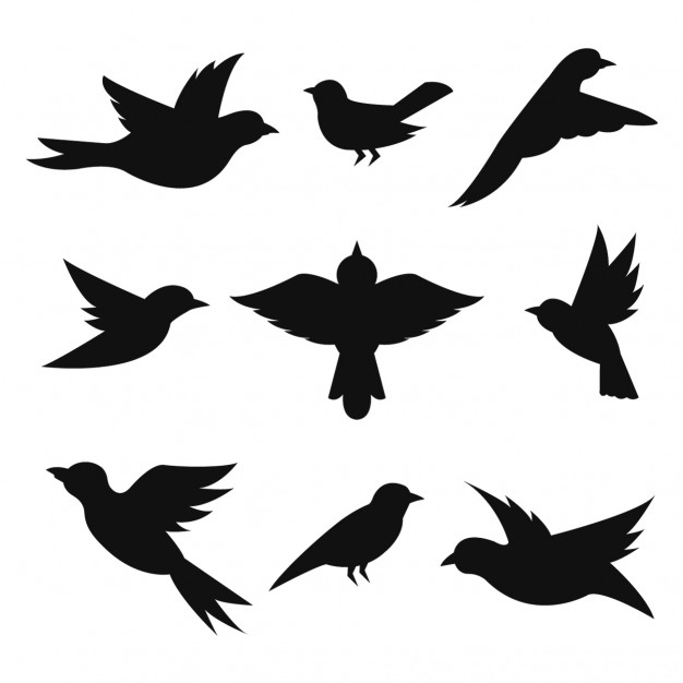 Bird Vectors, Photos And Free Download 626x626 Bird Vectors, Photos And Free Download