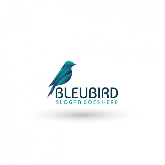 626x626 Bird Logo Template Vector Free Download