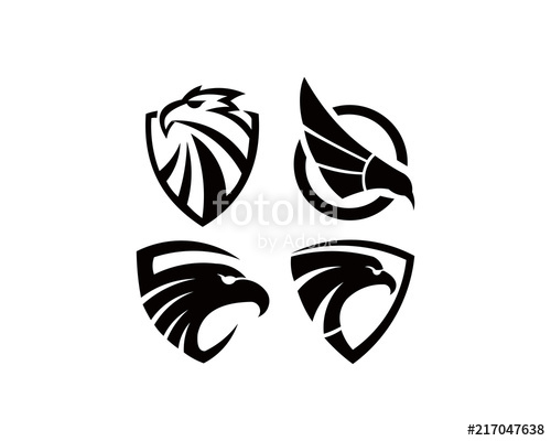500x400 Eagle Bird Logo Vector Template Business Logo Concept Stock