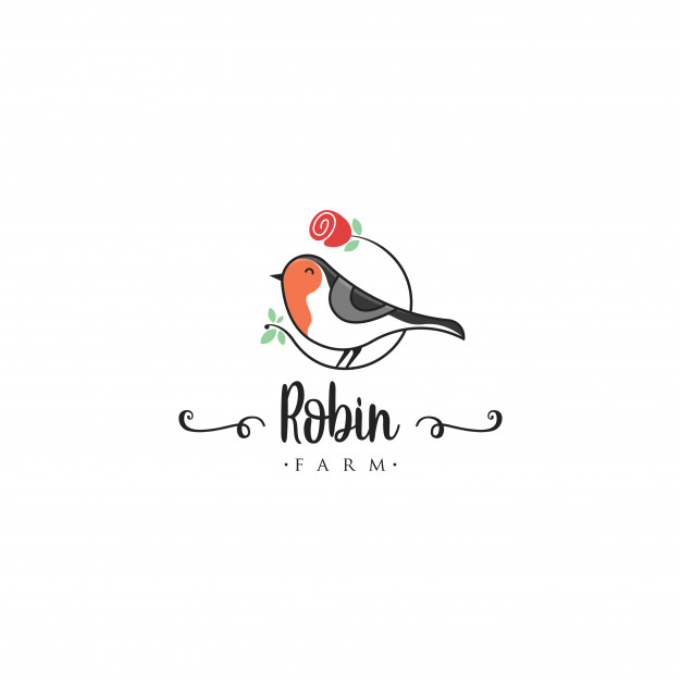 626x626 Robin Bird Logo Template Animal Logo Vector Pet Bird Logo